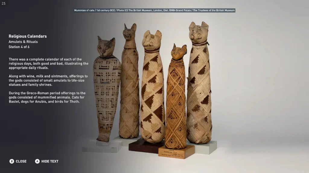 wirtualna-wycieczka-do-egiptu-mumie-kotow