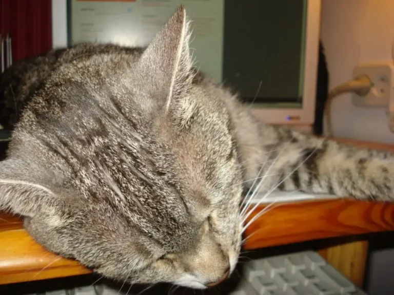 jak-powstaje-blog-odpoczynek