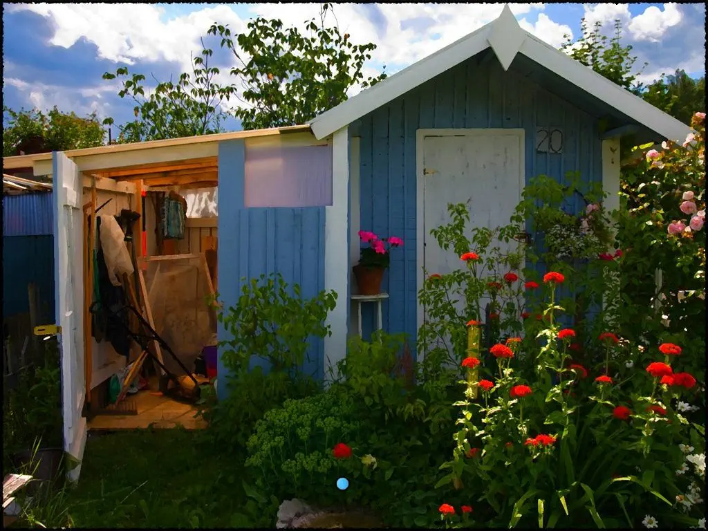 gry-carol-reed-na-dzialce